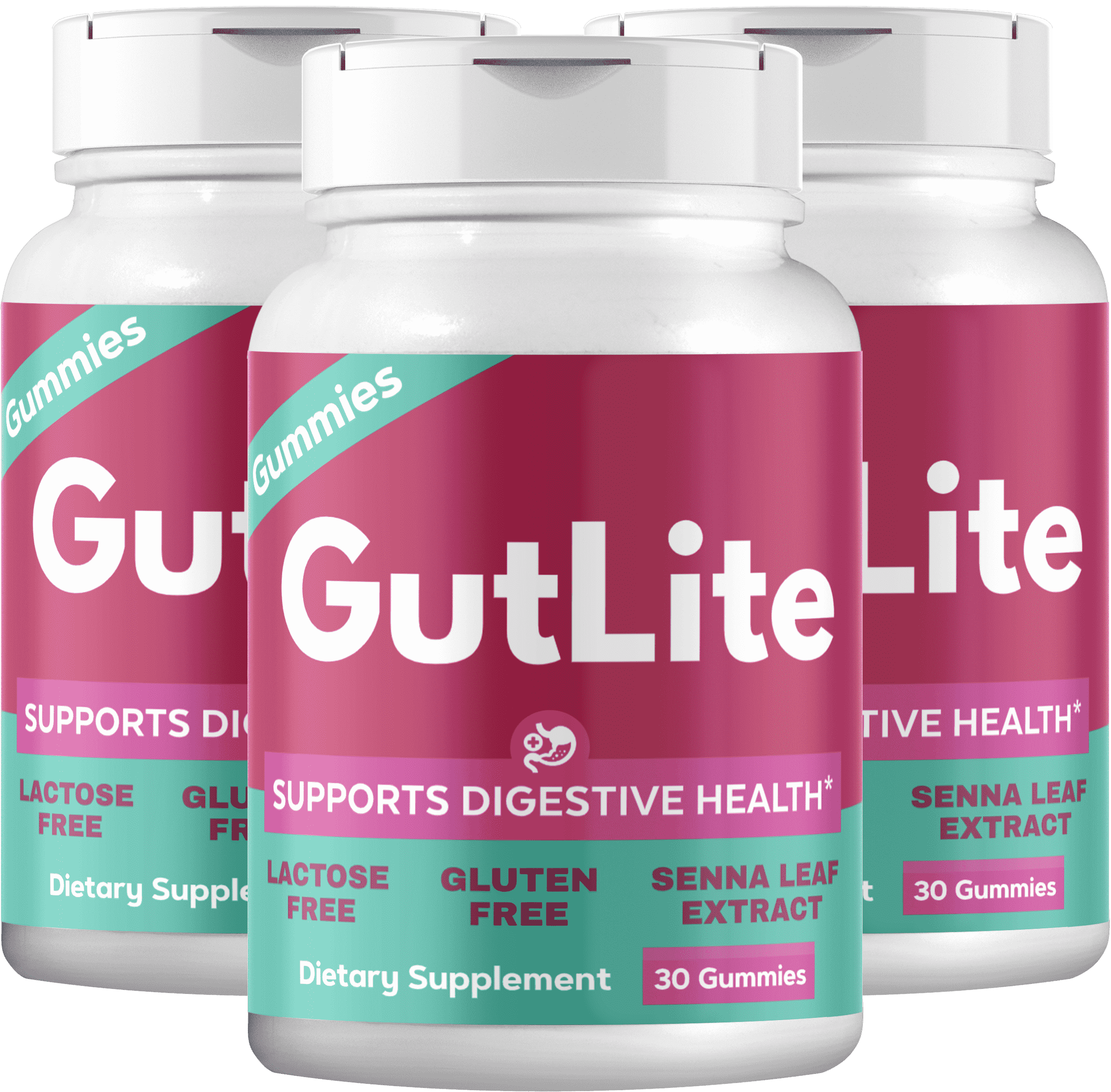  Introducing gutlite